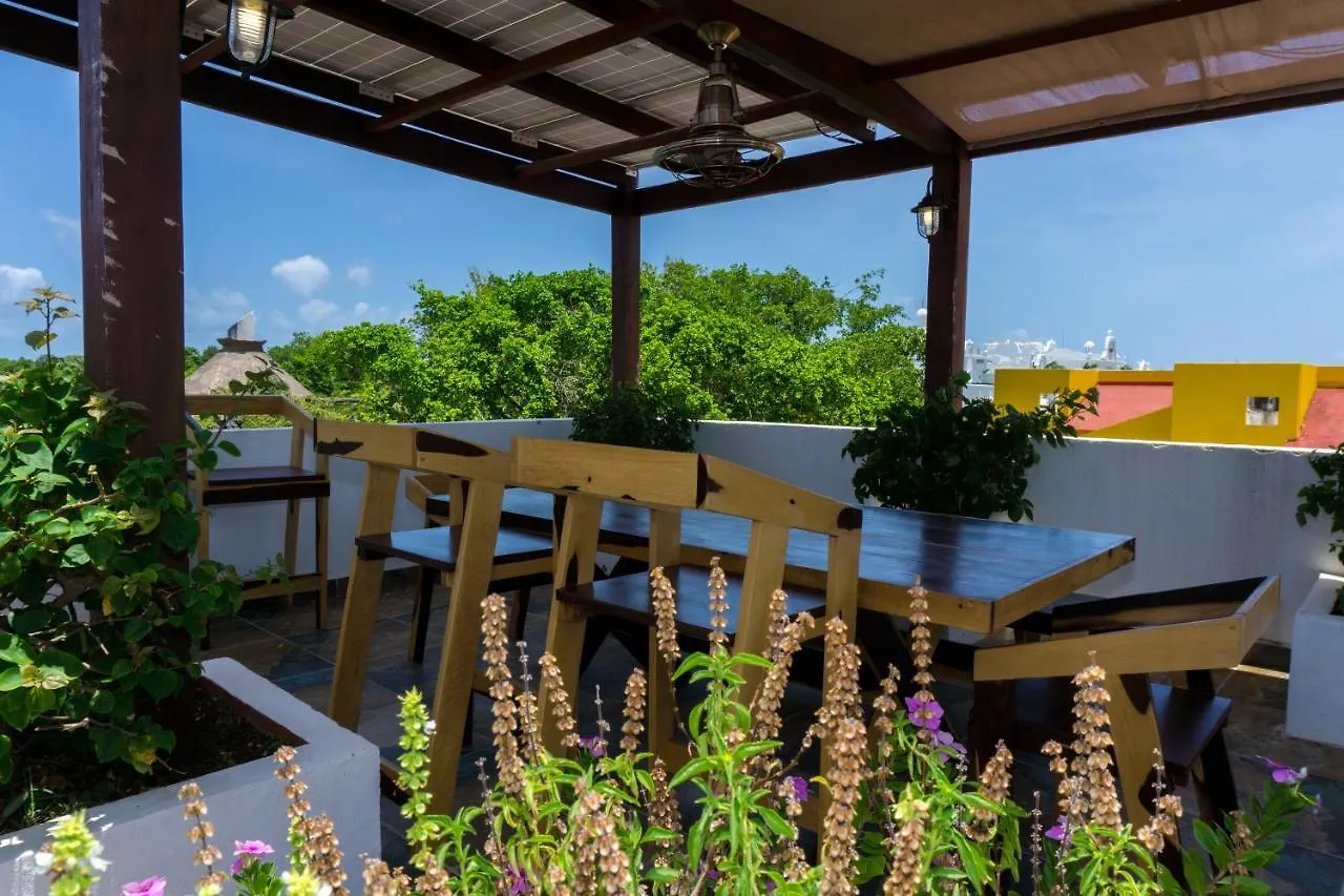 Paseo Del Sol Surf B 301 Condo Playa del Carmen 0*,